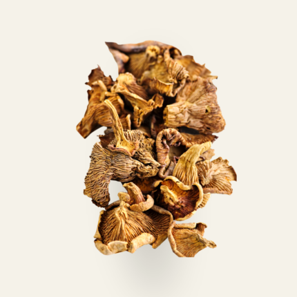 Dry Chantarelle