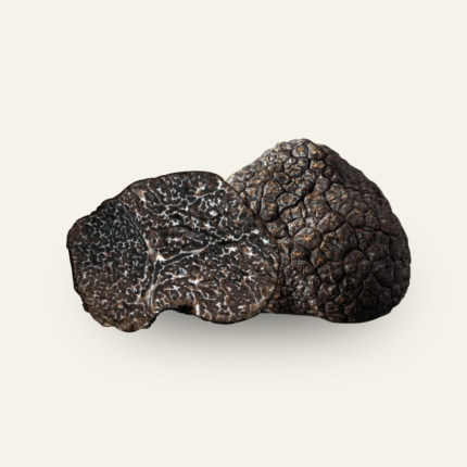 Black Winter Melanosporum